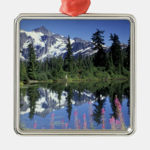 Nordamerika, USA, Washington, Heather Meadows Silbernes Ornament
