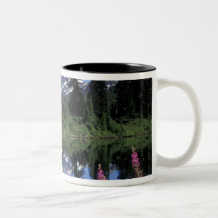 Nordamerika, USA, Washington, Heather Meadows Zweifarbige Tasse