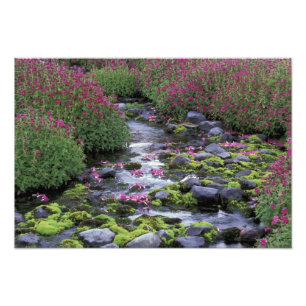 Nordamerika, USA, Washington, Mt. Rainier 3 Fotodruck