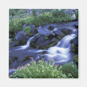 Nordamerika, USA, Washington, Mt. Rainier 3 Magnet