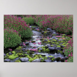 Nordamerika, USA, Washington, Mt. Rainier 3 Poster