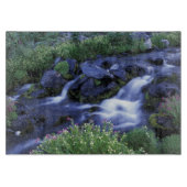 Nordamerika, USA, Washington, Mt. Rainier 3 Schneidebrett (Vorderseite)