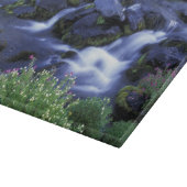 Nordamerika, USA, Washington, Mt. Rainier 3 Schneidebrett (Ecke)