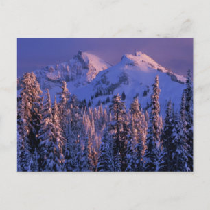 Nordamerika, USA, Washington, Mt. Rainier 4 Postkarte