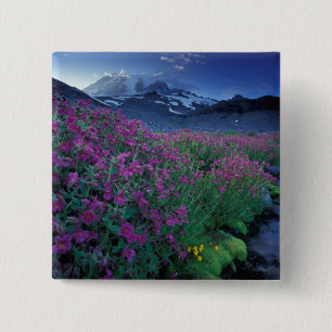 Nordamerika, USA, Washington, Mt. Rainier 6 Button