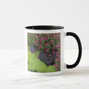 Nordamerika, USA, Washington, Mt. Rainier Tasse