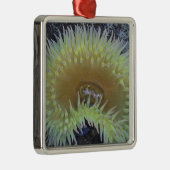 Nordamerika, USA, Washington, Olympic 4 Ornament Aus Metall (Rechts)