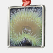 Nordamerika, USA, Washington, Olympic 4 Ornament Aus Metall (Links)