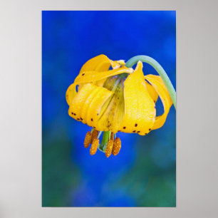 Nordamerika, USA, Washington, Olympic 5 Poster