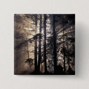 Nordamerika, USA, Washington, Olympic NF, Button
