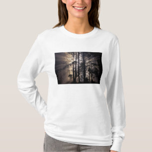Nordamerika, USA, Washington, Olympic NF, T-Shirt