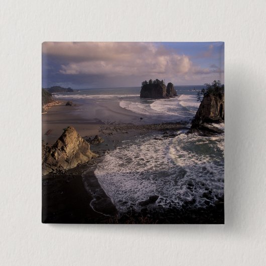 Nordamerika, USA, Washington, Olympic NP, Button (Vorderseite)