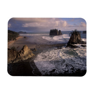 Nordamerika, USA, Washington, Olympic NP, Magnet