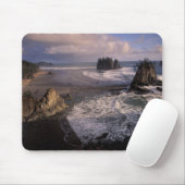 Nordamerika, USA, Washington, Olympic NP, Mousepad (Mit Mouse)