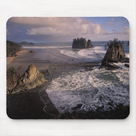 Nordamerika, USA, Washington, Olympic NP, Mousepad (Vorne)