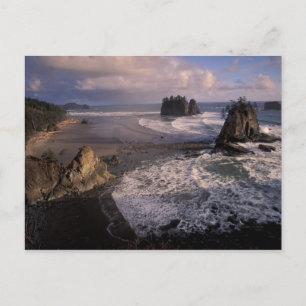 Nordamerika, USA, Washington, Olympic NP, Postkarte
