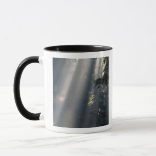 Nordamerika, USA, Washington, Olympic NP, Tasse