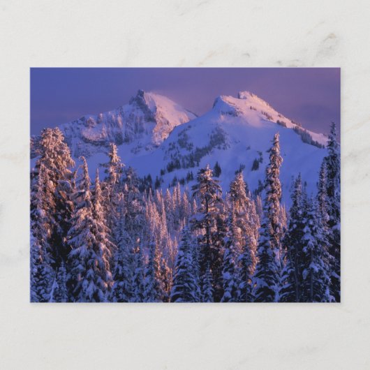 Nordamerika, USA, Washington, Rainier 4 Postkarte (Vorderseite)