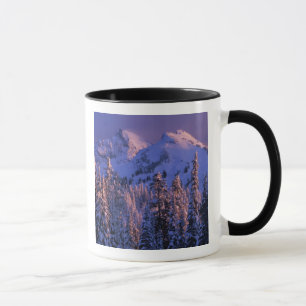 Nordamerika, USA, Washington, Rainier 4 Tasse