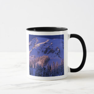 Nordamerika, USA, Washington, Rainier 5 Tasse