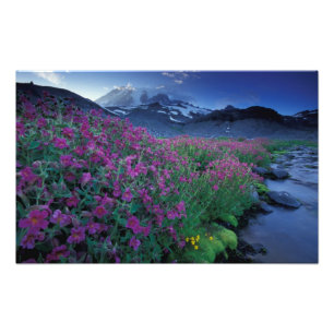 Nordamerika, USA, Washington, Rainier 6 Fotodruck