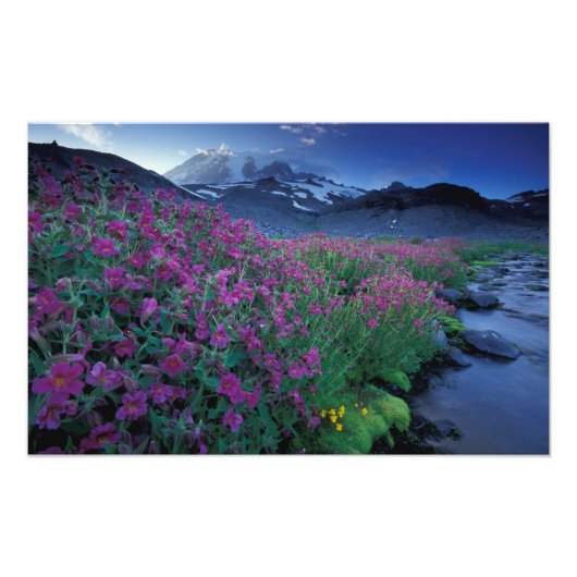 Nordamerika, USA, Washington, Rainier 6 Fotodruck (Vorne)