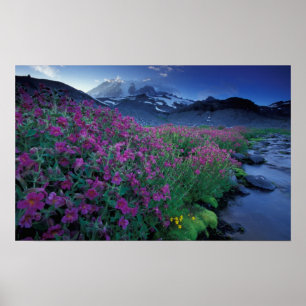 Nordamerika, USA, Washington, Rainier 6 Poster
