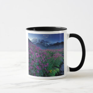 Nordamerika, USA, Washington, Rainier 6 Tasse