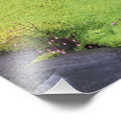 Nordamerika, USA, Washington, Rainier Fotodruck (Ecke)