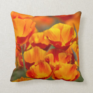 Nordamerika, USA, Washington, Seattle Kissen