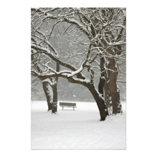 Nordamerika, USA, Washington, Seattle, Snow 2 Fotodruck