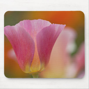 Nordamerika, USA, Washington, Seattle, Sommer 2 Mousepad