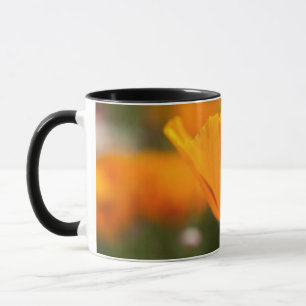 Nordamerika, USA, Washington, Seattle, Sommer Tasse