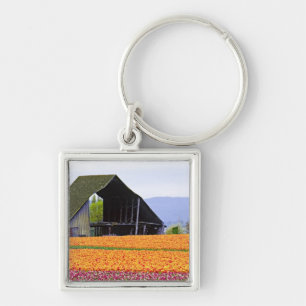 Nordamerika, USA, Washington, Skagit Valley. 2 Schlüsselanhänger