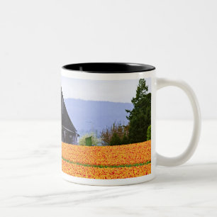 Nordamerika, USA, Washington, Skagit Valley.2 Zweifarbige Tasse