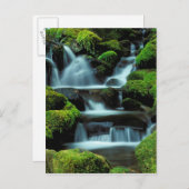 Nordamerika; USA; Washington, Sol Duc Cascade Postkarte (Vorne/Hinten)