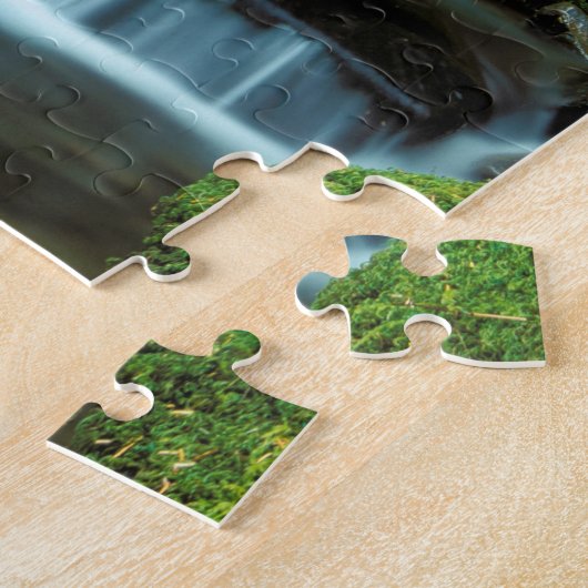 Nordamerika; USA; Washington, Sol Duc Cascade Puzzle (Seite)