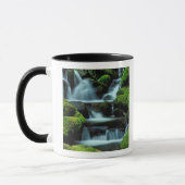Nordamerika; USA; Washington, Sol Duc Cascade Tasse (Links)