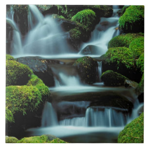 Nordamerika; USA; Washington, Sol Duc Kaskade Fliese