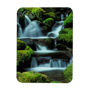 Nordamerika; USA; Washington, Sol Duc Kaskade Magnet