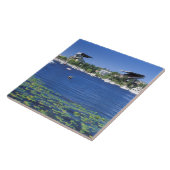 Nordamerika, USA, Washington Staat, Seattle, Fliese (Seite)