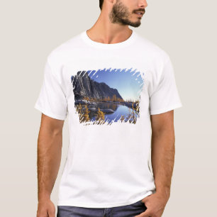 Nordamerika, USA, Washington, Verzauberung T-Shirt