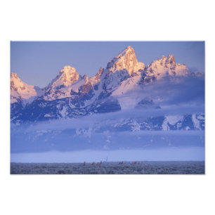 Nordamerika, USA, Wyoming, Grand Teton NP, 2 Fotodruck