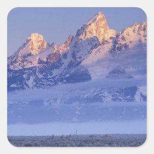 Nordamerika, USA, Wyoming, Grand Teton NP, 2 Quadratischer Aufkleber