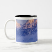 Nordamerika, USA, Wyoming, Grand Teton NP, 2 Zweifarbige Tasse (Links)
