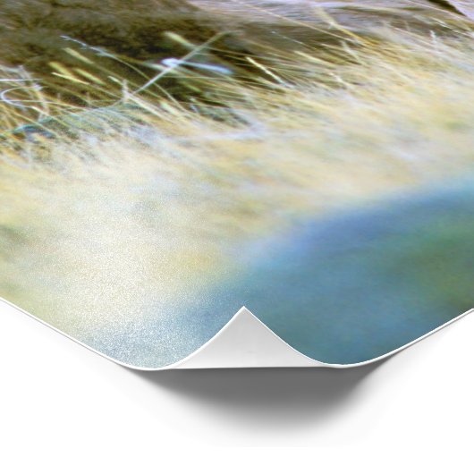 Nordamerika, USA, Wyoming, Yellowstone 2 Fotodruck (Ecke)