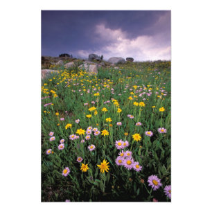 Nordamerika, USA, Wyoming, Yellowstone 2 Fotodruck