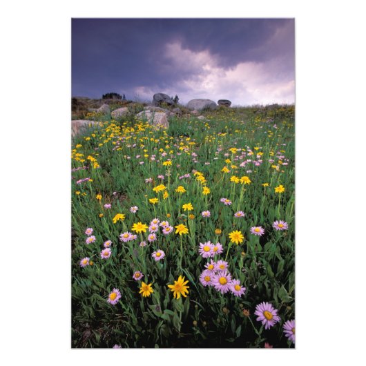 Nordamerika, USA, Wyoming, Yellowstone 2 Fotodruck (Vorne)