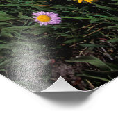 Nordamerika, USA, Wyoming, Yellowstone 2 Fotodruck (Ecke)