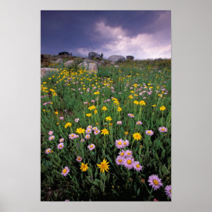 Nordamerika, USA, Wyoming, Yellowstone 2 Poster